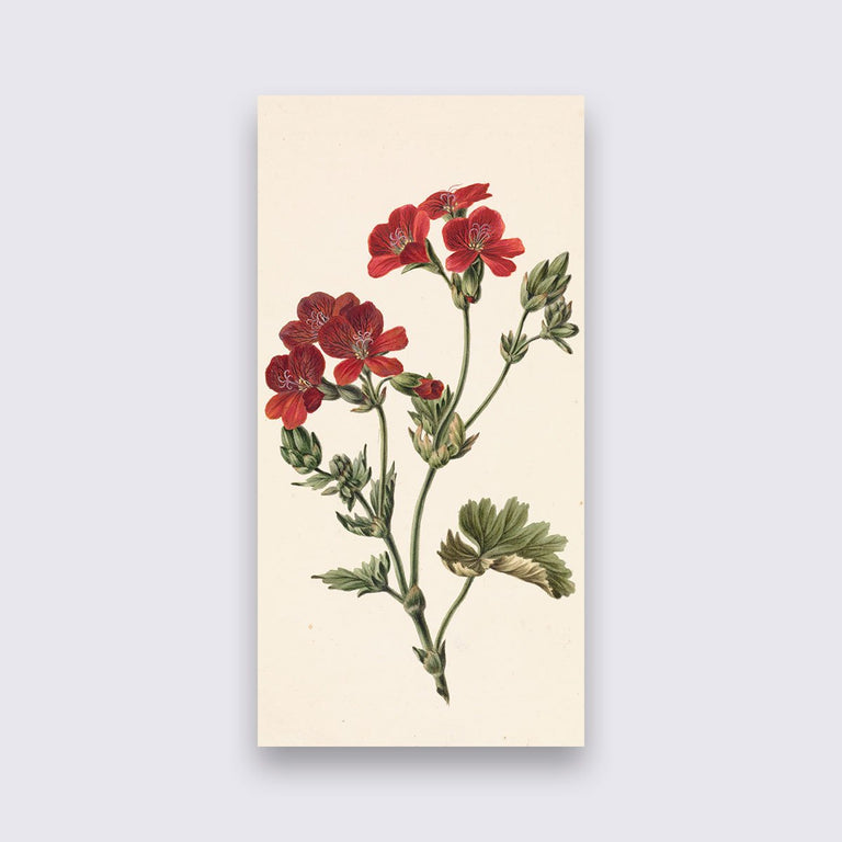 Wanddecoratie Rode bloem