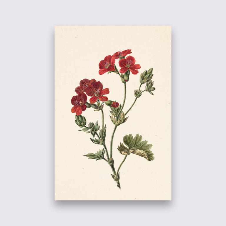 Wanddecoratie Rode bloem