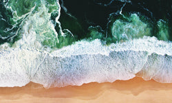 Wanddecoratie The Art of Nature