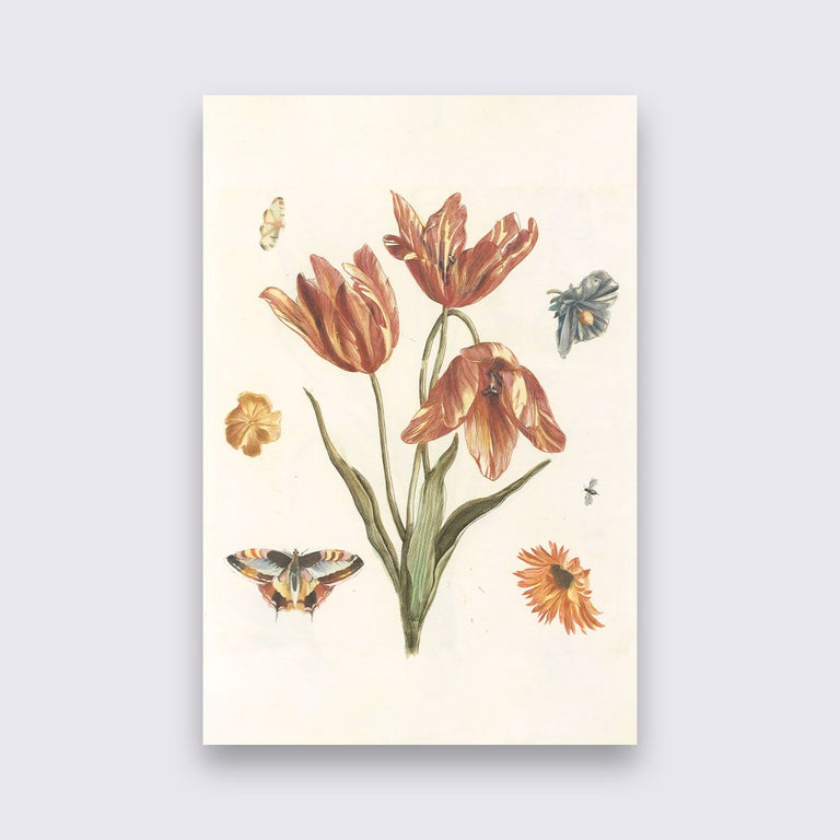 Wanddecoratie Tulpen