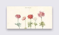 Wanddecoratie Vijf studies van anemonen