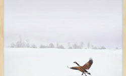 Wanddecoratie Winter Bird