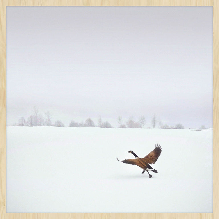 Wanddecoratie Winter Bird