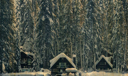 Wanddecoratie Winter Wonder Silence