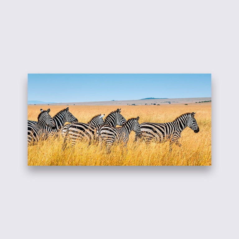 Wanddecoratie Zebra