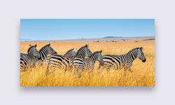 Wanddecoratie Zebra