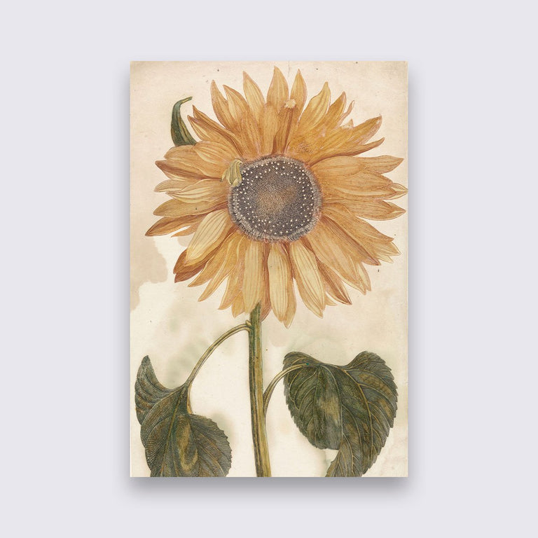 Wanddecoratie Zonnebloem