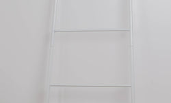 Ladder Rack